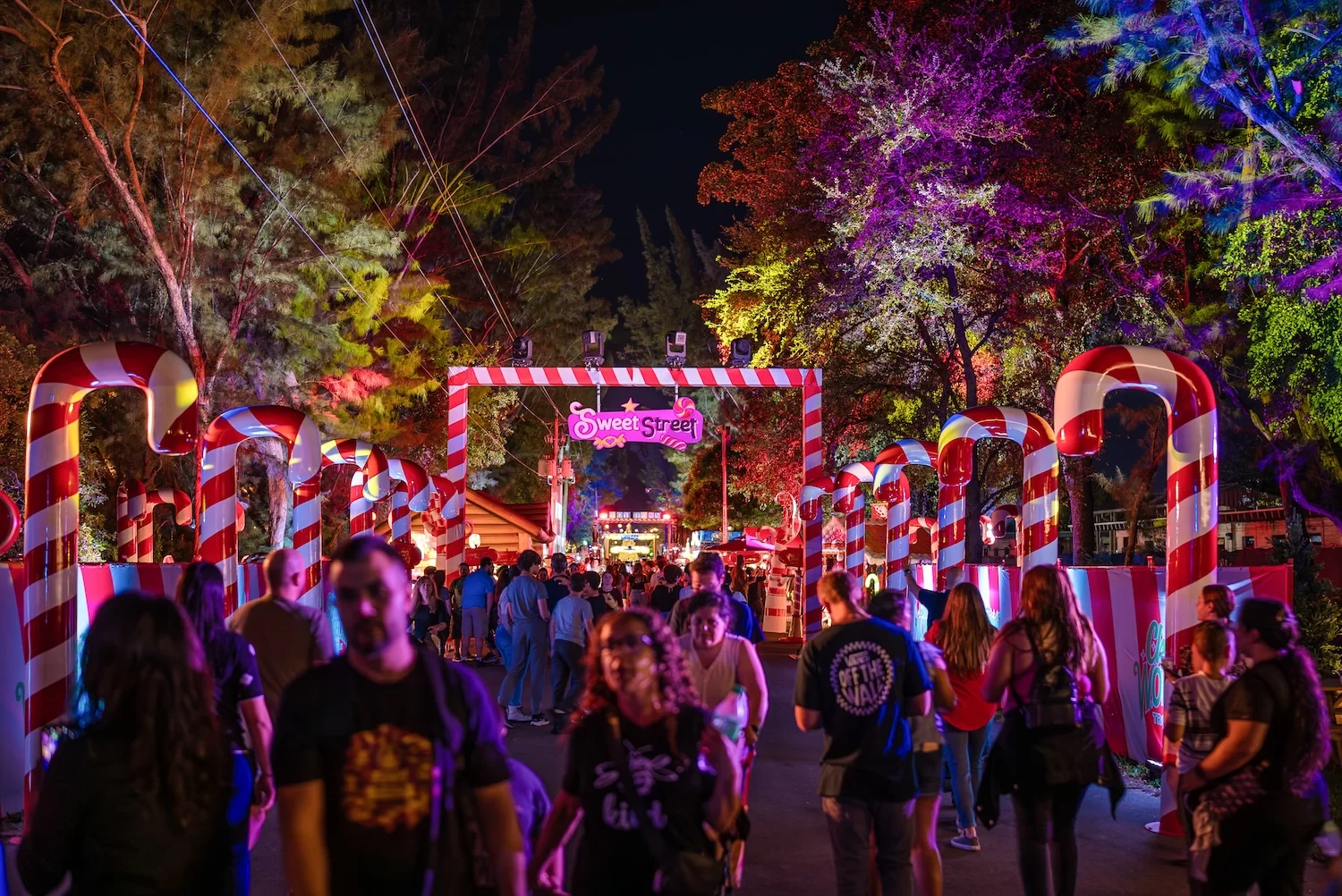 DSC01929-Enhanced-NR-cd3f4948