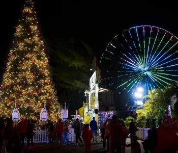 CHRISTMAS_WONDERLAND-GALLERY-SELECTS-16-1024x683