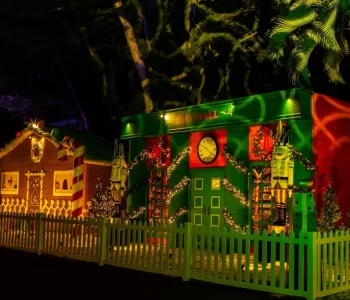 CHRISTMAS_WONDERLAND-GALLERY-SELECTS-3-1024x683