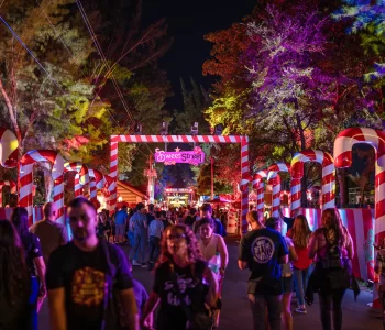 DSC01929-Enhanced-NR-scaled