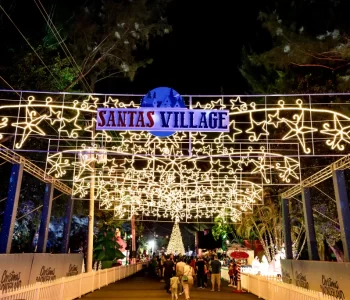 DSC02111-Enhanced-NR-1024x684