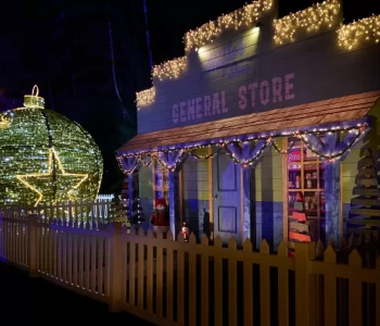 EH8_4764-standard-1024x705