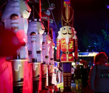 EH8_4804-standard-1024x756